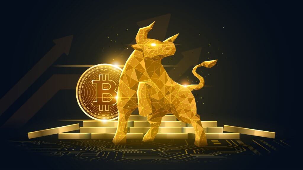 bull bitcoin